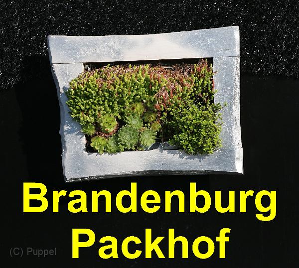 A Brandenburg Packhof.jpg